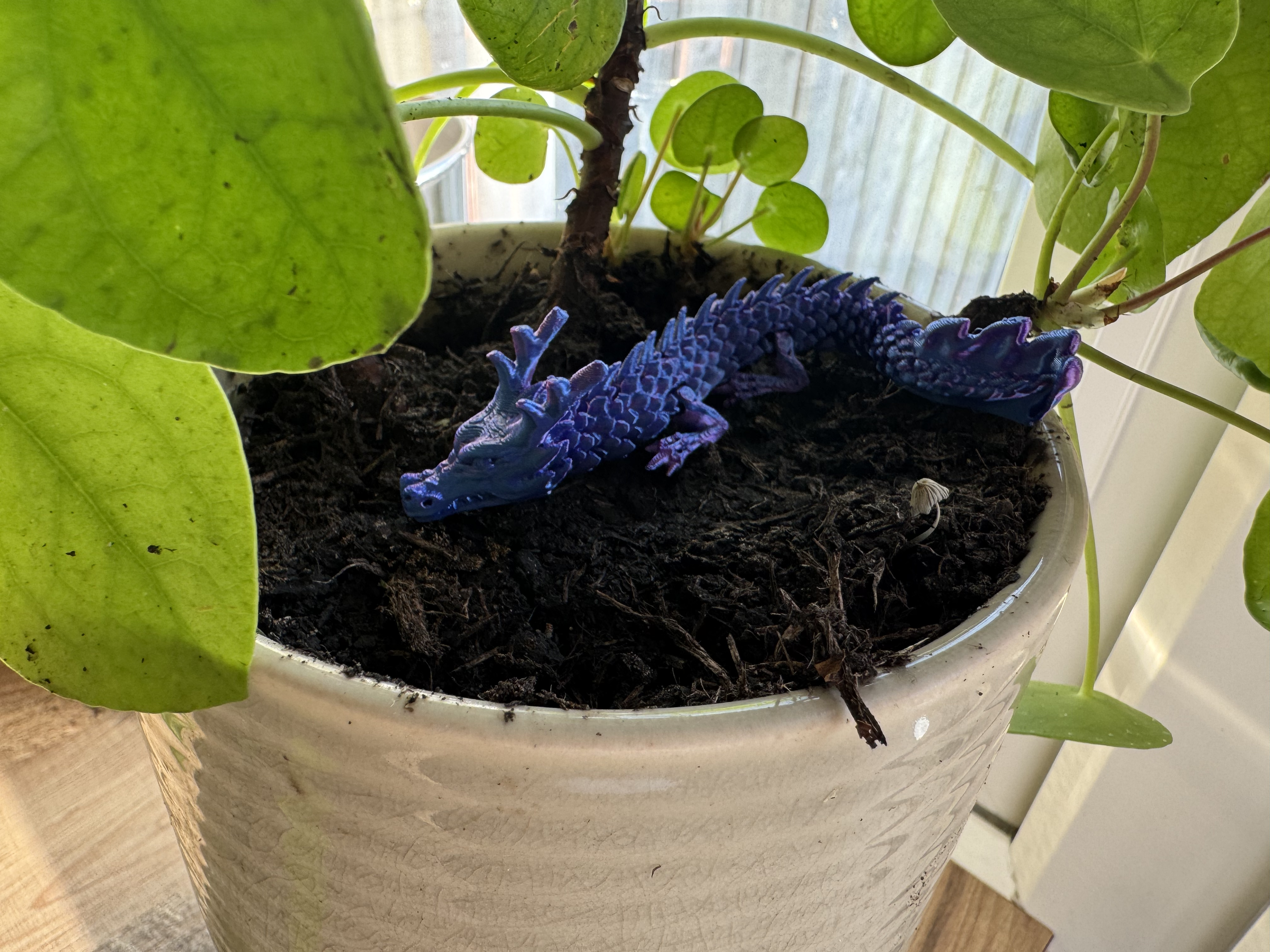 Dragon in the plant pot